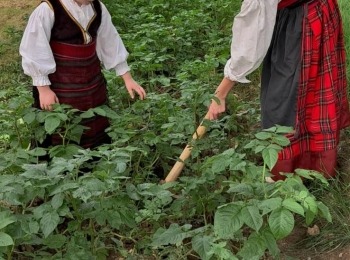 Osnovna škola dr. Jure Turića9. kako su Yivjeli