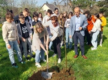 Osnovna škola dr. Jure TurićaY3