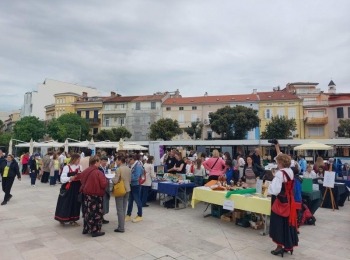Osnovna škola dr. Jure Turića20250509 110813.jpg