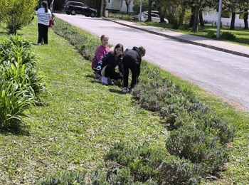 Osnovna škola dr. Jure TurićaD8d8eb23-f442-4162-9df8-6dc767e8fb42