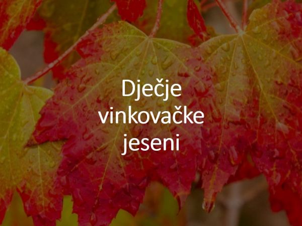 Dječje vinkovačke jeseni  11./12. rujna 2021.