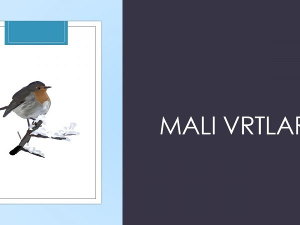 Zimske aktivnosti Malih vrtlara Zimske aktivnosti Malih vrtlara